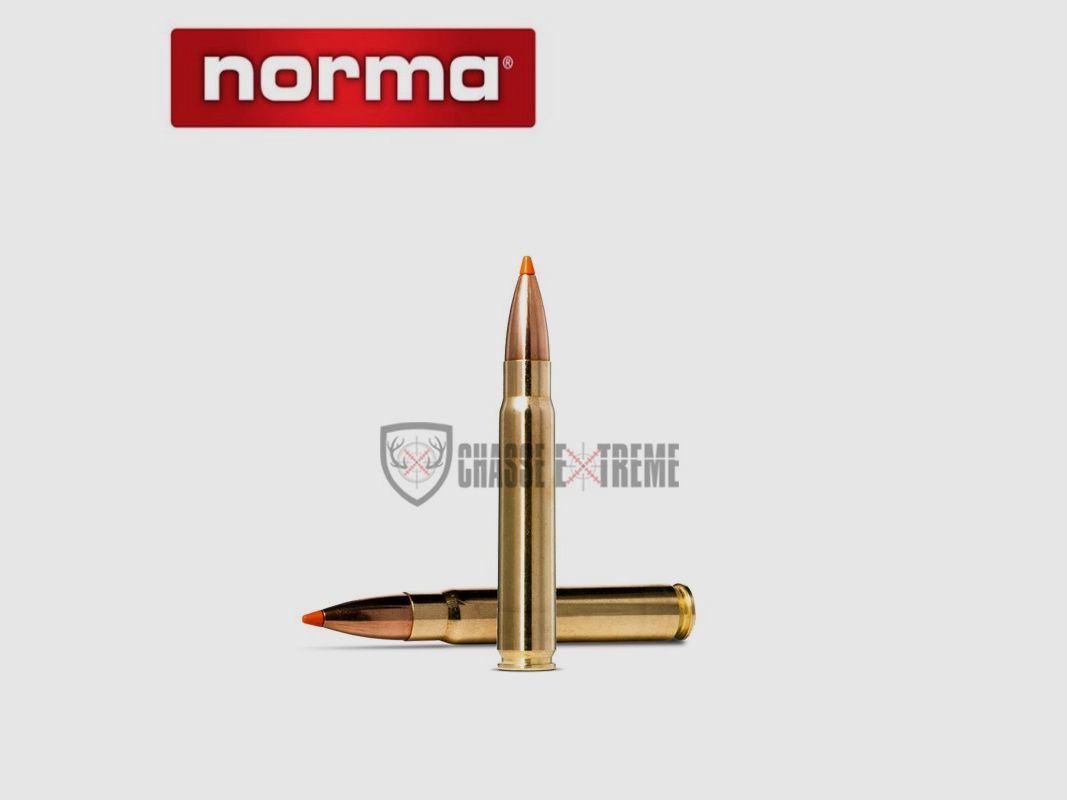 20 Munitions NORMA Cal 9.3x62 255gr Tipstrike