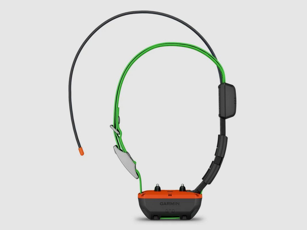 KIT GARMIN Palmare Alpha 300 K + Halsband Alpha 25K, Bild 10 von 10