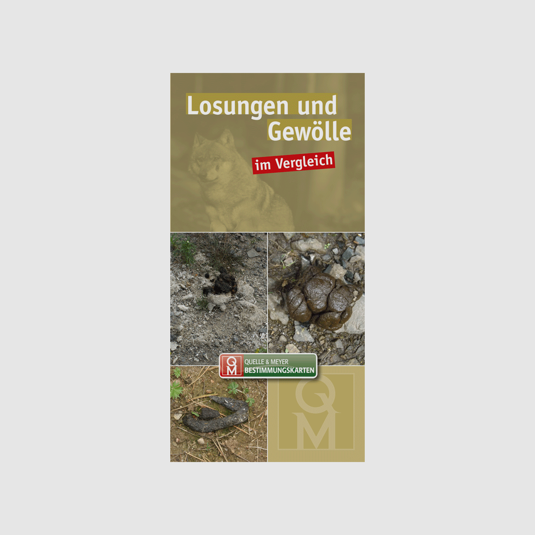 Bestimmungskarte „Losungen und Gewölle im Vergleich“