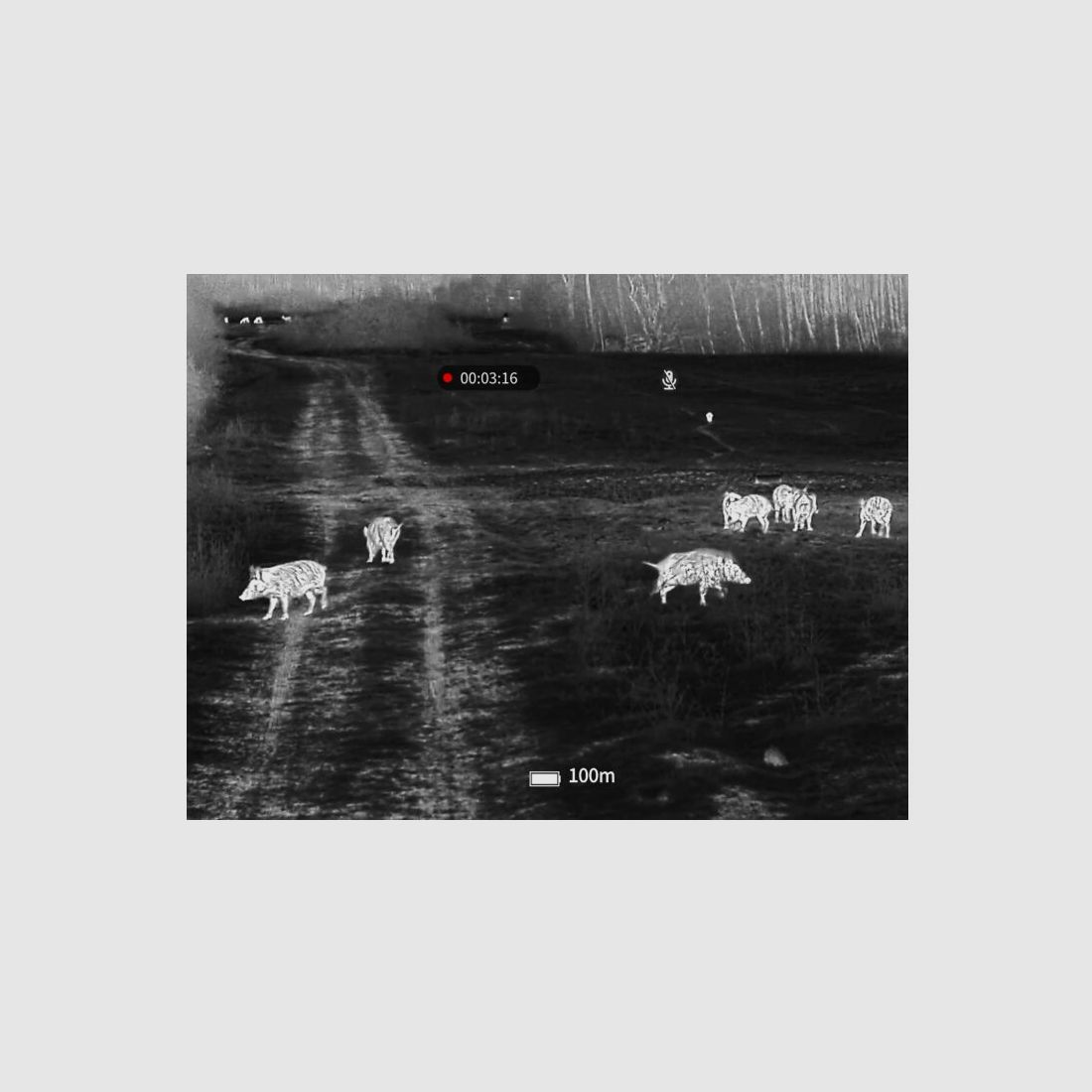 Guide sensmart Wärmebild-Vorsatzgerät Guide TB630 LRF