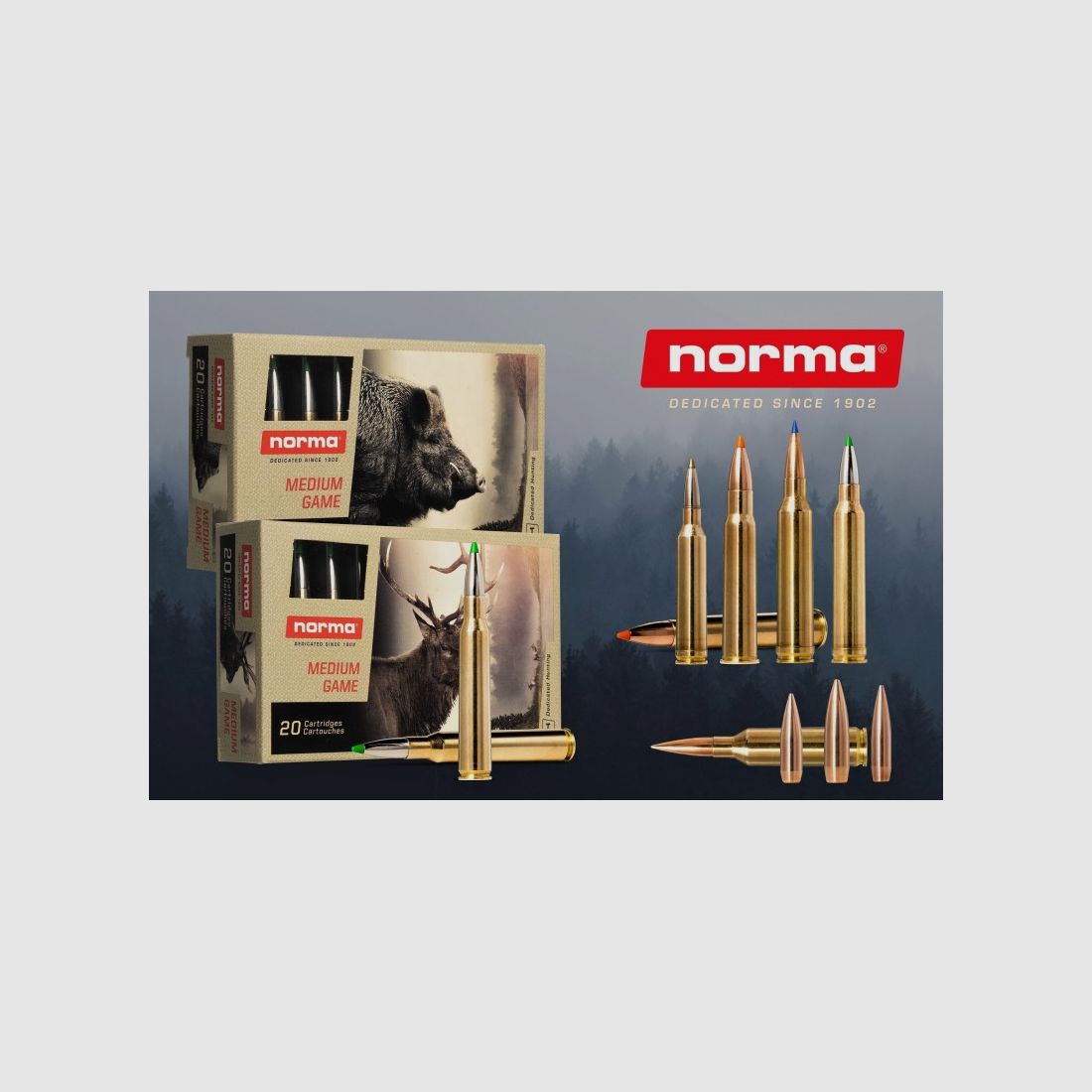 NORMA 7.5x55 Oryx 180 grs 11,6 Box mit 20 Schuss, Bild 1 von 2
