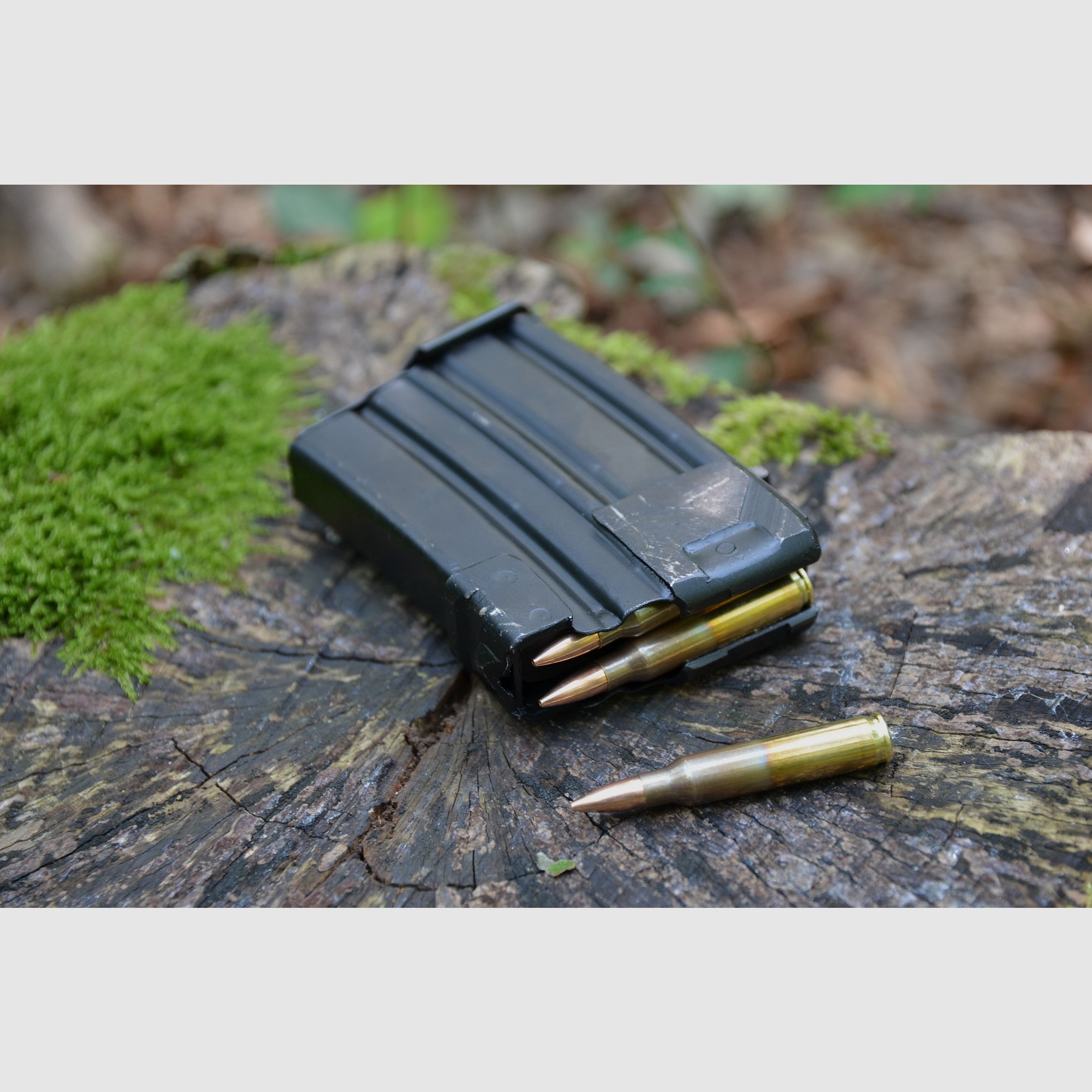 10 Schuss Stahlmagazin .223 Rem für ZASTAVA M2010G