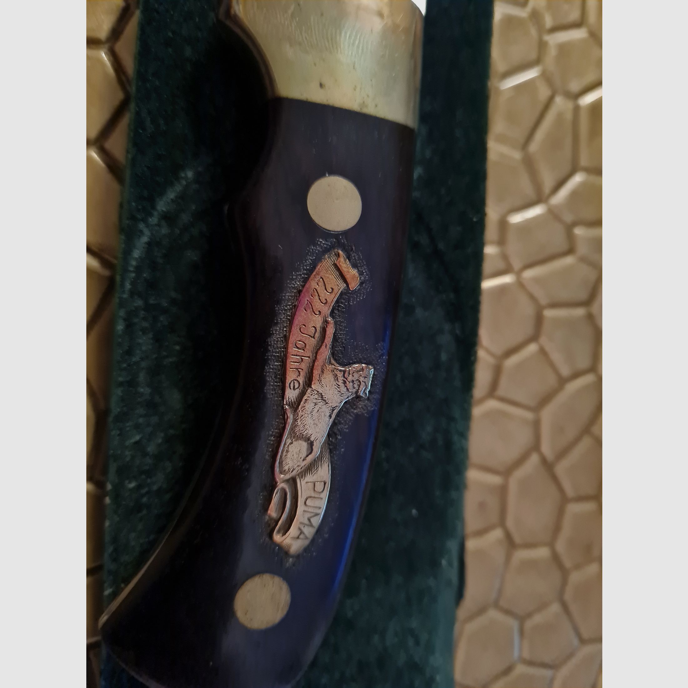 Puma Zilveren Leeuw Nr. 145/222