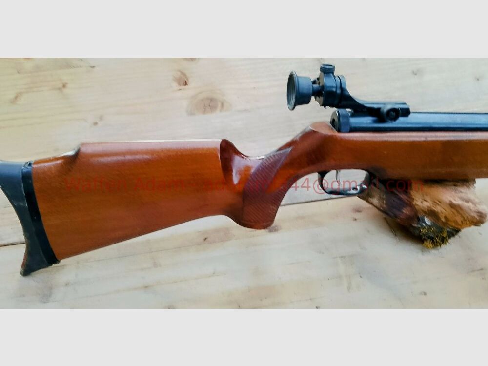 Walther LG 55