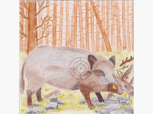 Glücksscheibe bunt, 14x14cm, 100 Stk. Motiv Wildschwein