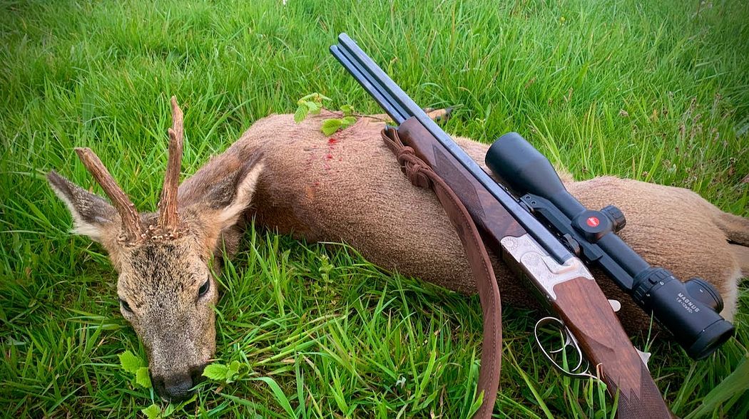 Jagd auf Rehbock und Schmalreh mit dem Krieghoff Optima Drilling