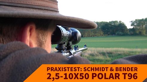 Schmidt & Bender 2,5-10x50 Polar T96: Was kann das Zielfernrohr im jagdlichen Praxistest?