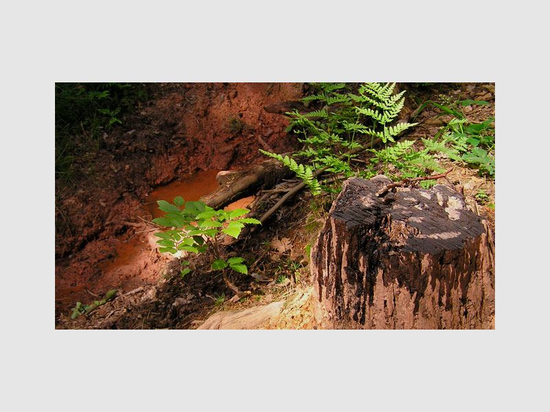 Suhlengold, afbeelding 2 van 3