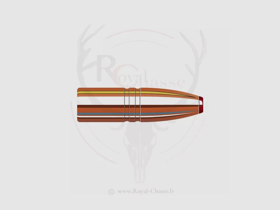50 ogives Cal.9mm D.366 250Grs ECX HORNADY