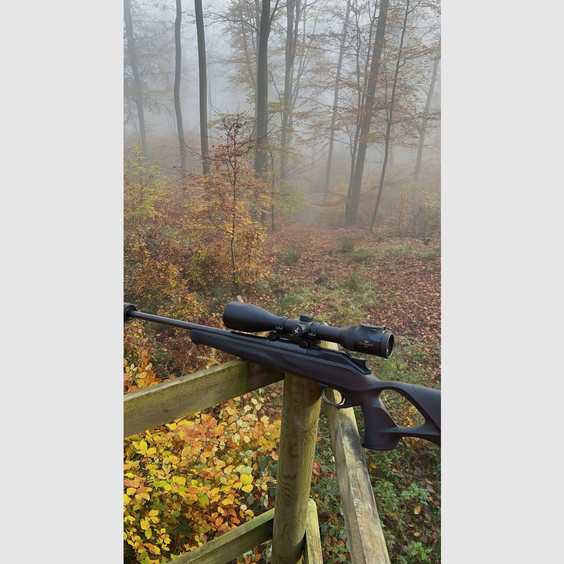 Blaser R8 Professional Success 