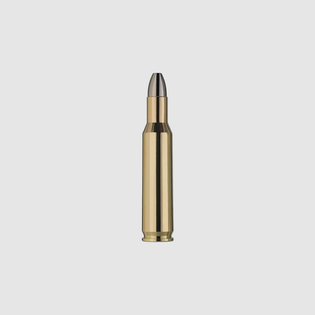 RWS HIT 40grs - 20Stk
