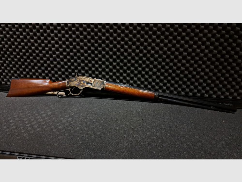 Hege-Uberti 1873