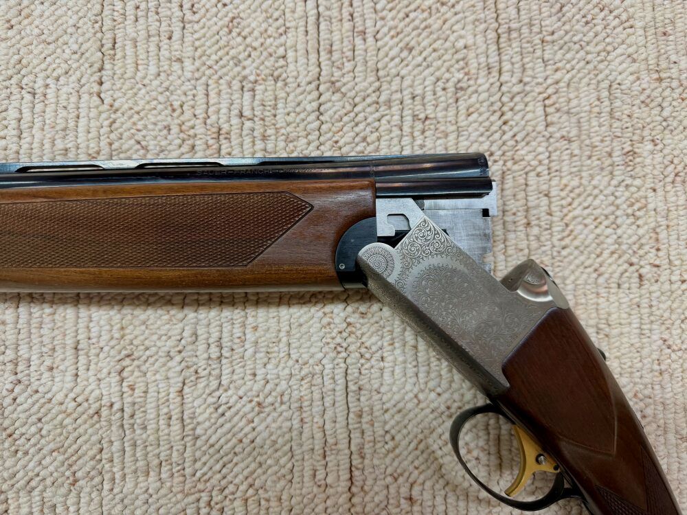Sauer Franchi