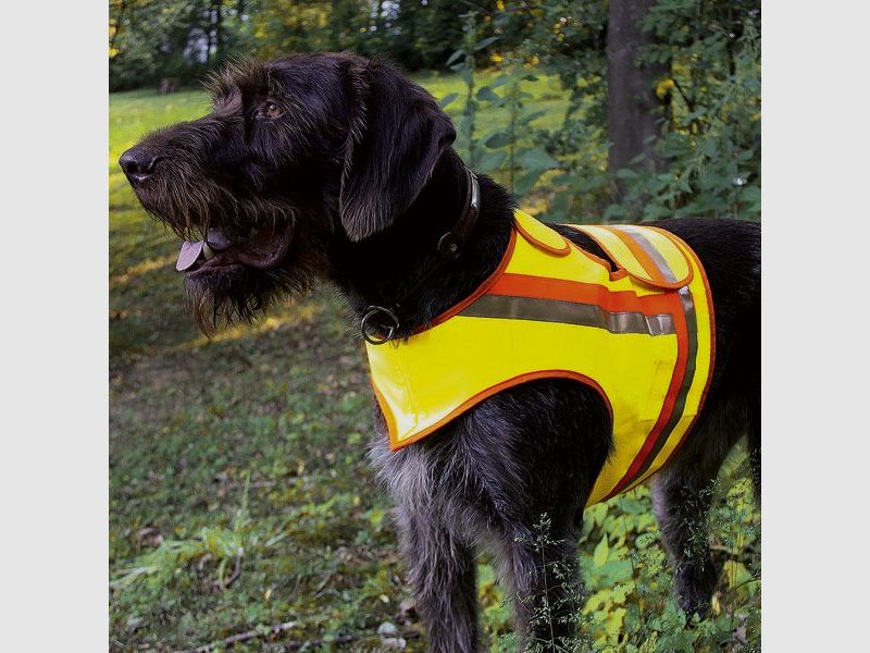 Chaleco reflectante para perros - Grandes perros de muestra - Talla 4