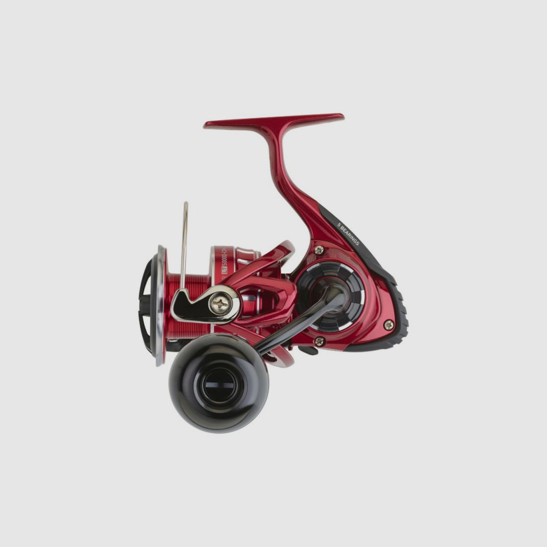Daiwa BG RR LT D CXH ARK vismolen