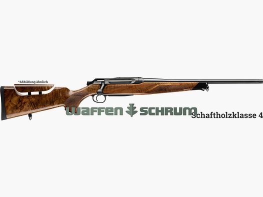 Sauer 505 ErgoLux bois de classe 4 crosse réglable