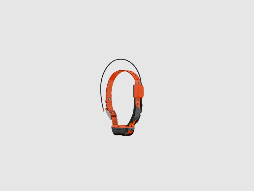 GARMIN T20 Halsband, Bild 1 von 3