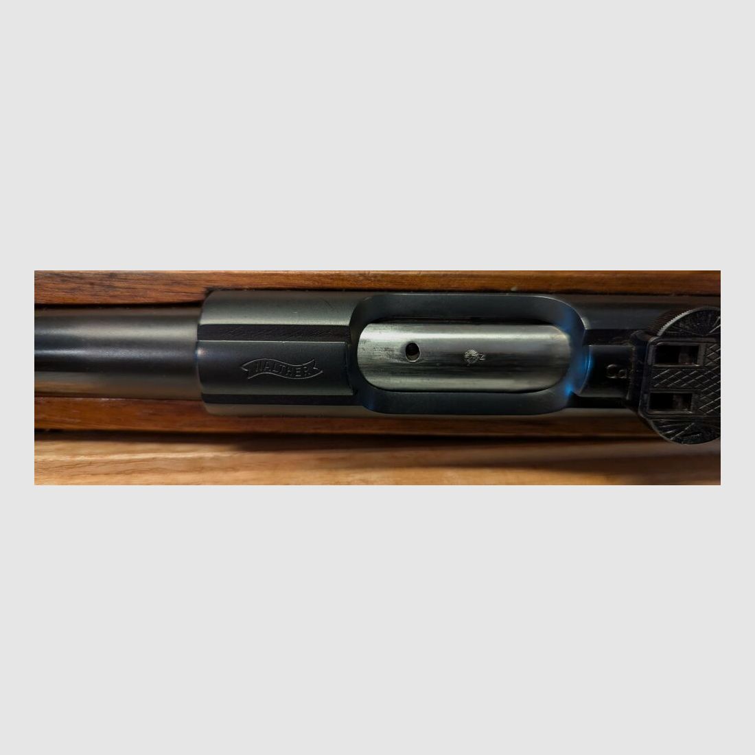 Walther Jagdmatch