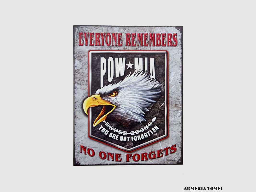 METALLPLAKETTE 43. POW MIA