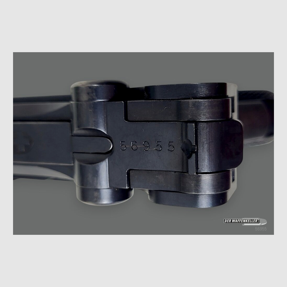 Fábrica de armas de Berna (W+F) 06/29 1929