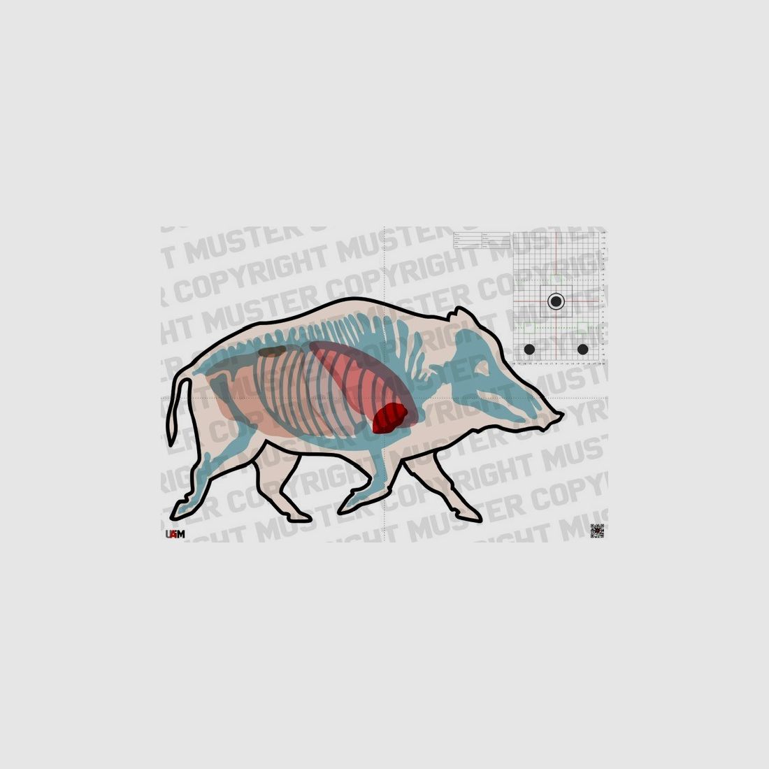 Anatomy Target Boar DIN A1 - Detailed target for precise hunting...