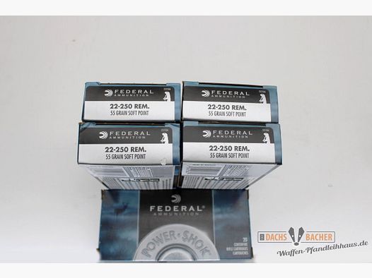 Federal .22-250 Rem 55gr.Soft Point 100 (5x20) Schuß