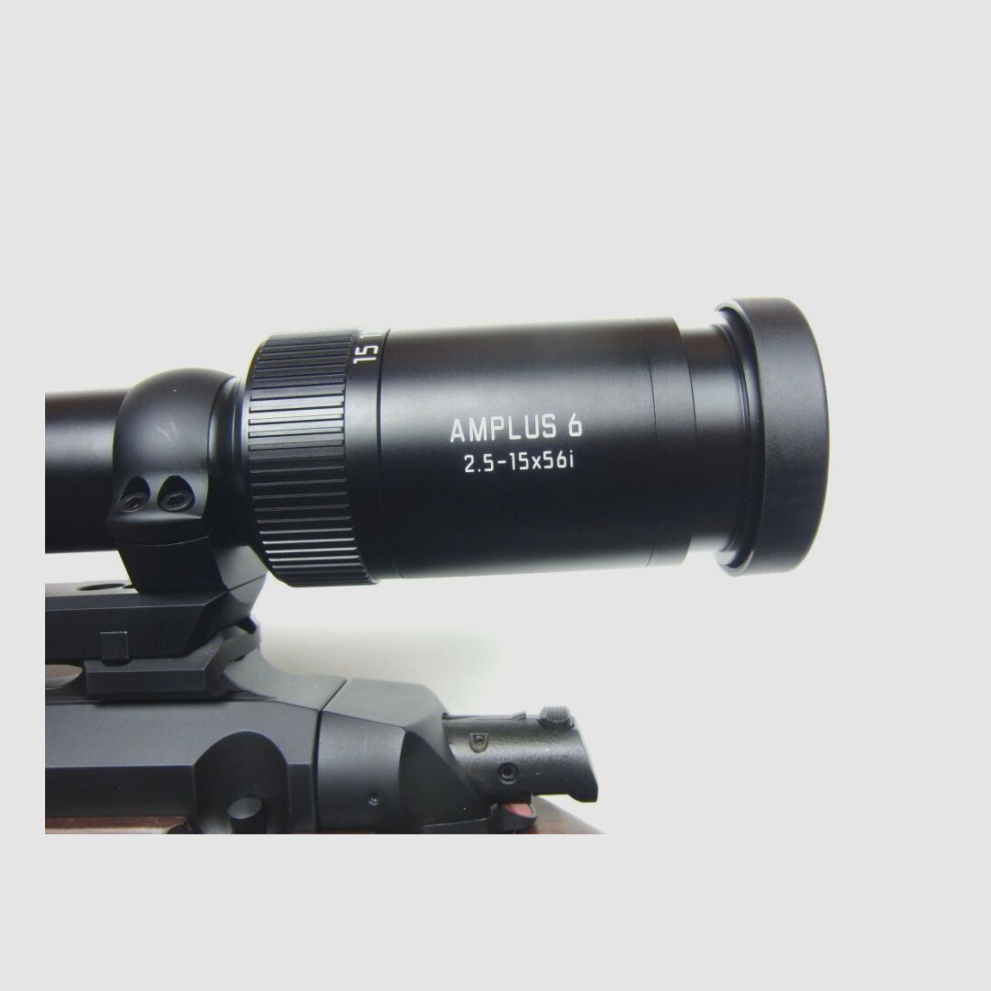 Steel Action	 Steel Action HS HK1 .308Win., Dentler, Leica Amplus 6, 2,5-15x56i