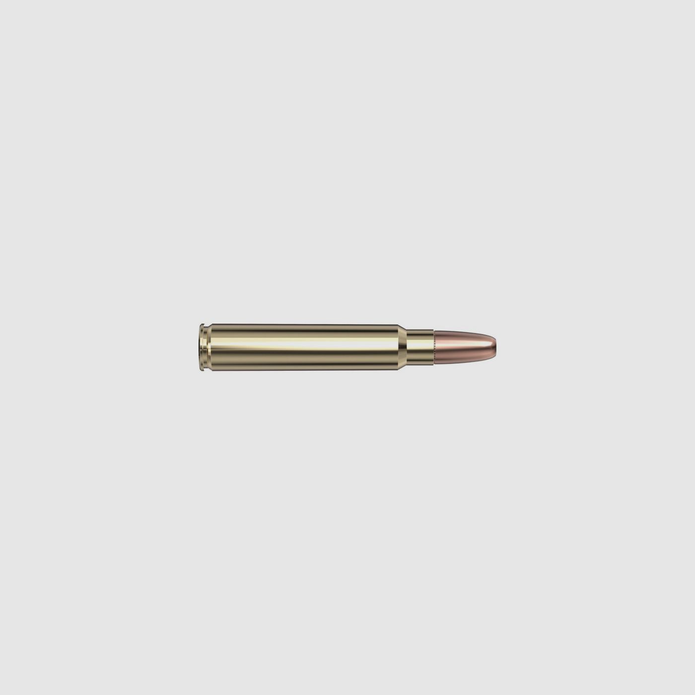 Hornady 375 Ruger 300 gr DGS® – 20 pz.