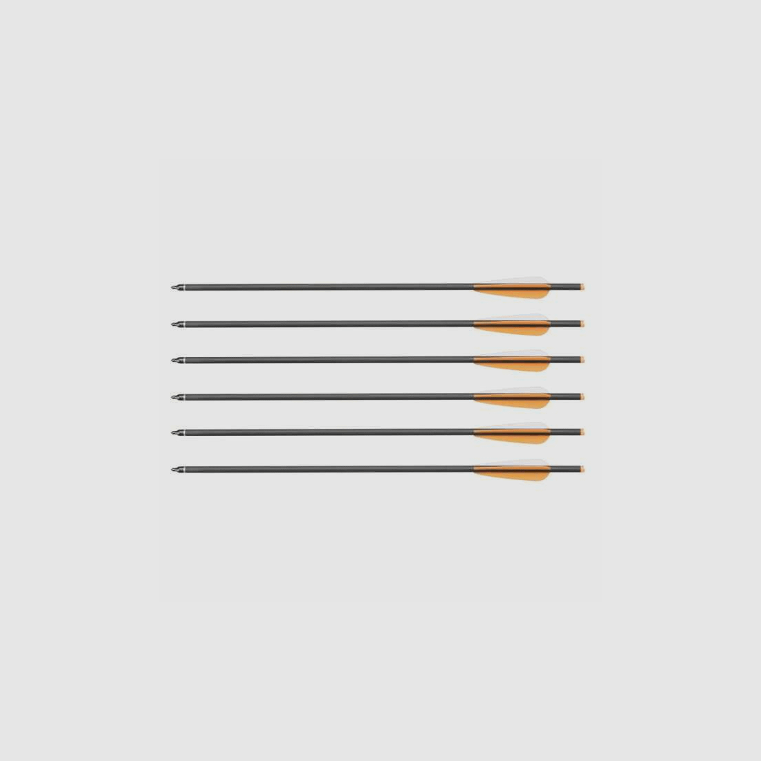 Carbon Ersatzpfeile Armbrust 20" 6-er Pack