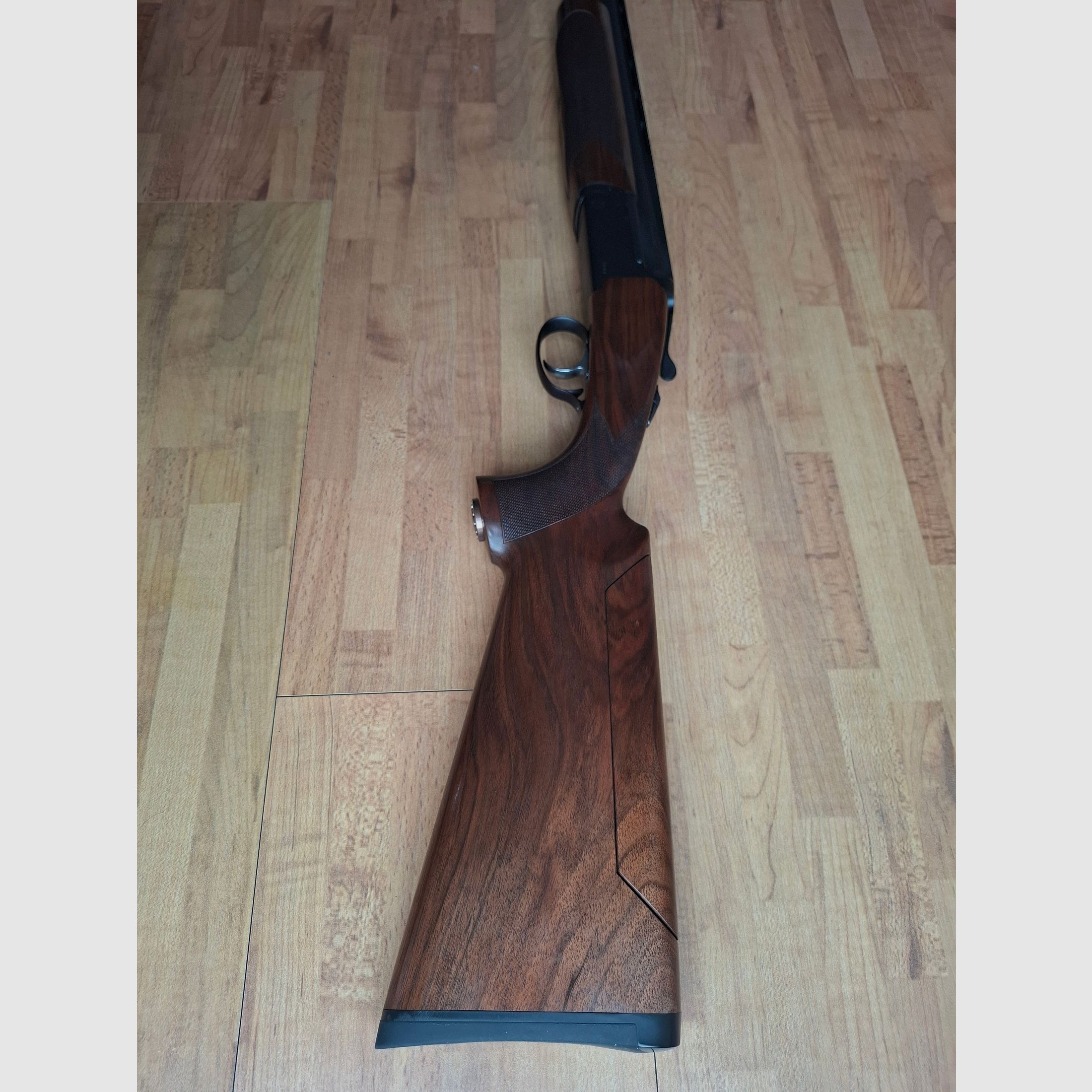 Zoli Kronos Sporting 12/76