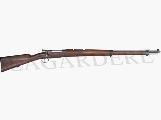 DWM 1895 CILENO (FUCILE A REPETIZIONE MANUALE)