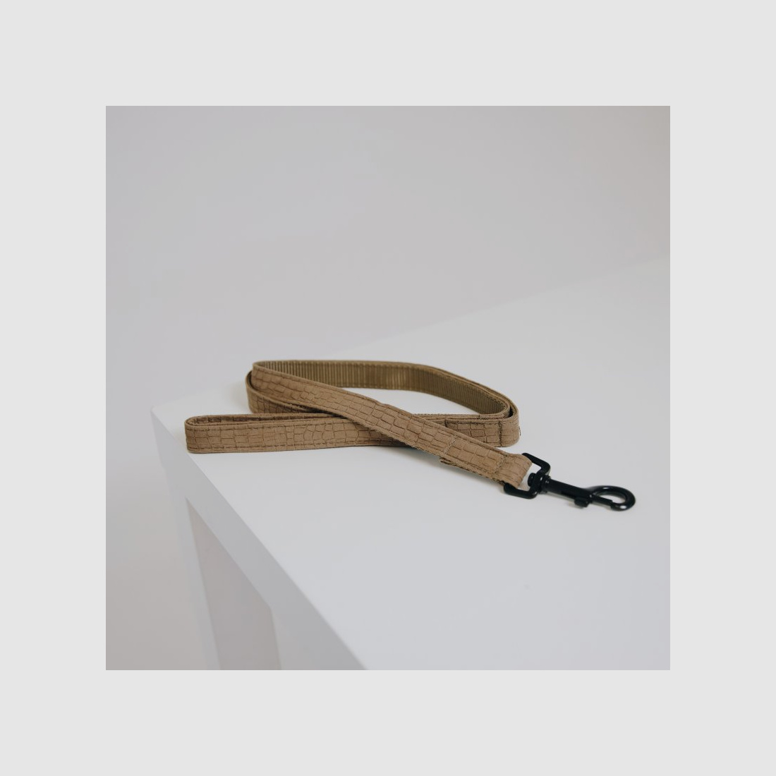 Kentucky Dogwear Hundeleine Lizard 120cm Braun