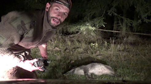 Wildschweinjagd mit Nachtsicht und Wärmebild #Wildboar #Flir