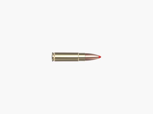 Hornady 300 Blackout 135 gr FTX® – 20 Stk.