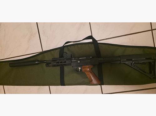 Diana Airbug co2 pistola ad aria