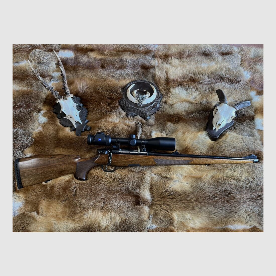 Steyr Mannlicher