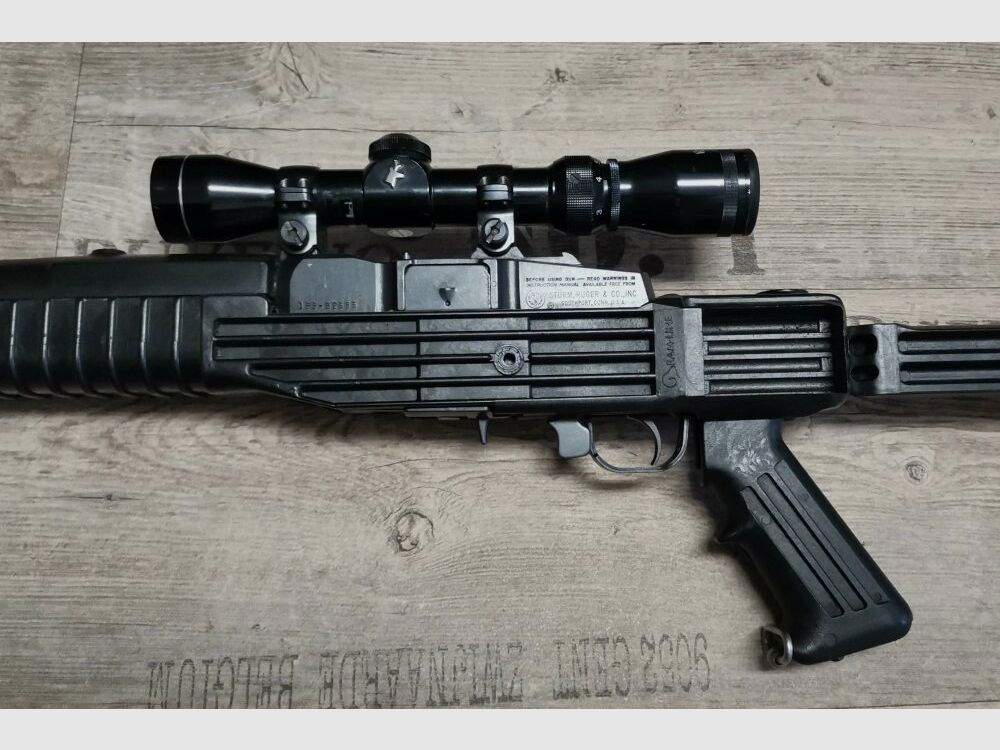 Ruger Mini 14 .223Rem