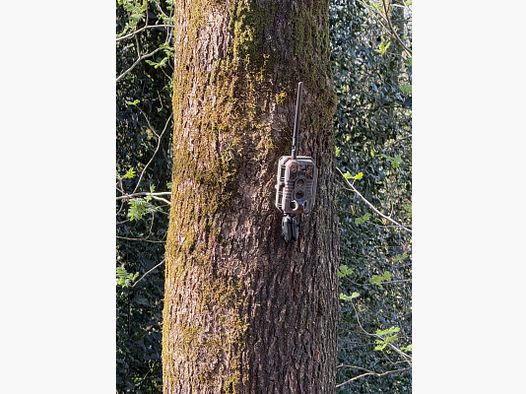 Jagdspezi Trail Cam x60 PLMB - Telecamera per la caccia di classe superiore