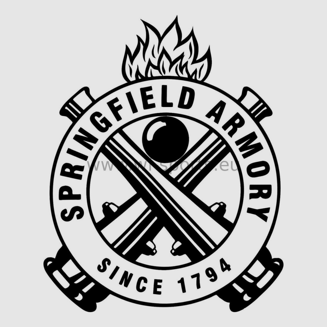 Armurerie de Springfield Armurerie de Springfield, Compact, en 45Acp