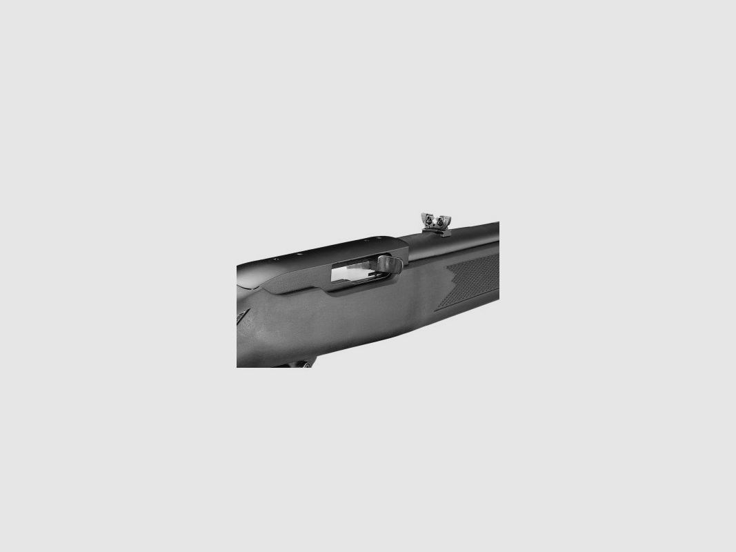 RUGER 10/22 Karabiner c/m, Bild 7 von 10