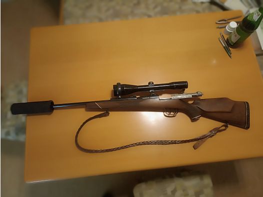 Mauser 66s Kaliber 30.06