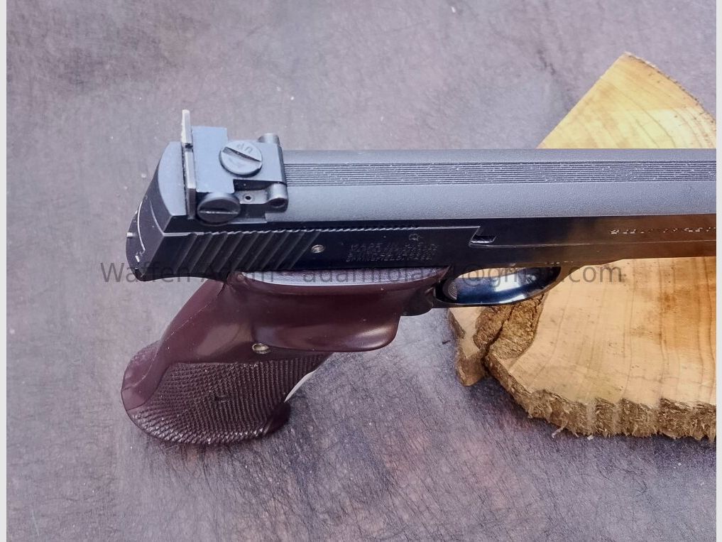 Smith & Wesson Model 41 Sport 1965