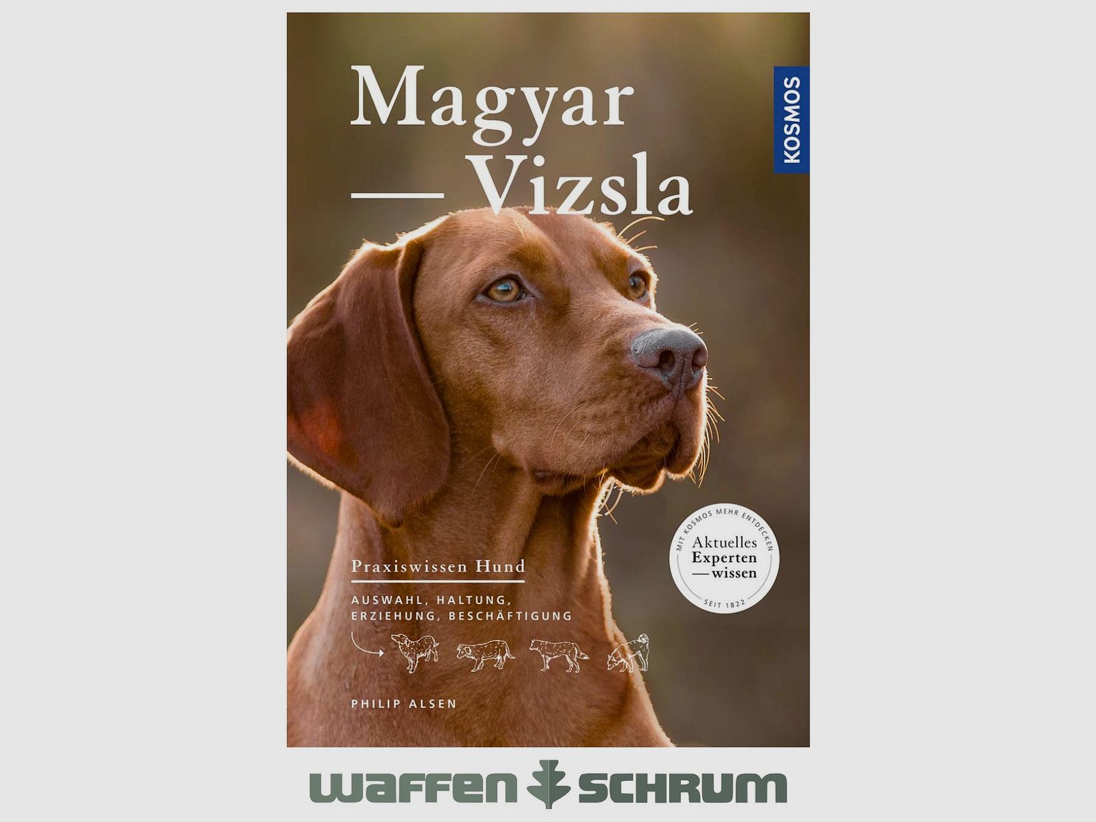 Kosmos Magyar Vizsla Philip Alsen