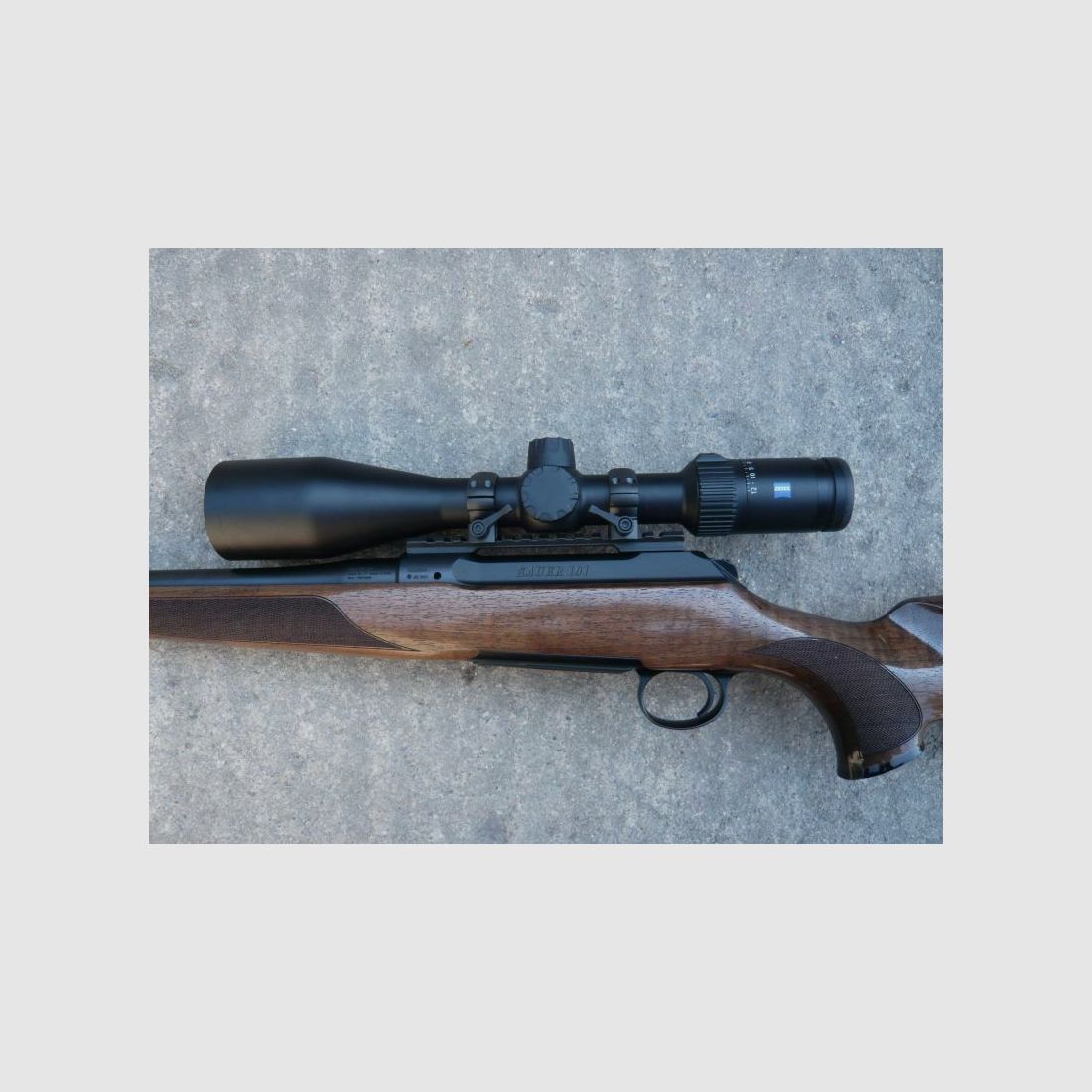 Sauer 101
