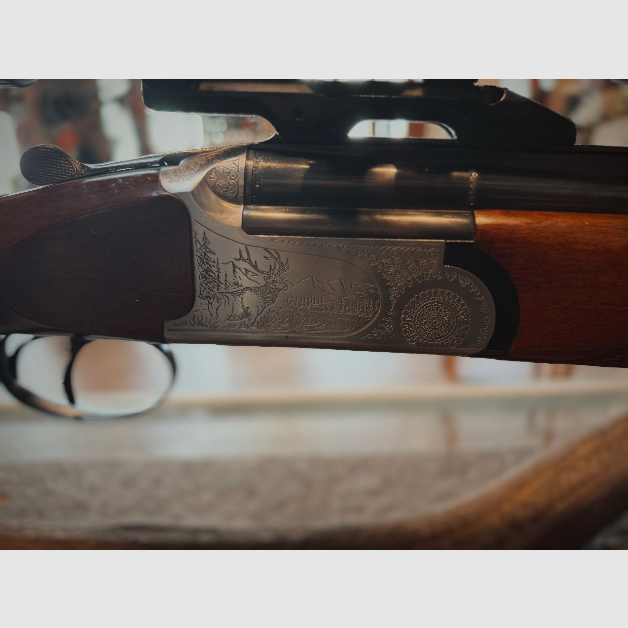 Sabatti BBF – 12/70 y 8x57 IRS – con cañón intercambiable 5,6x52R – Meopta Meostar R1 3-12x56 