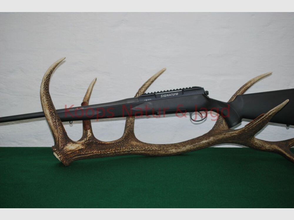 Rössler Signature Allround