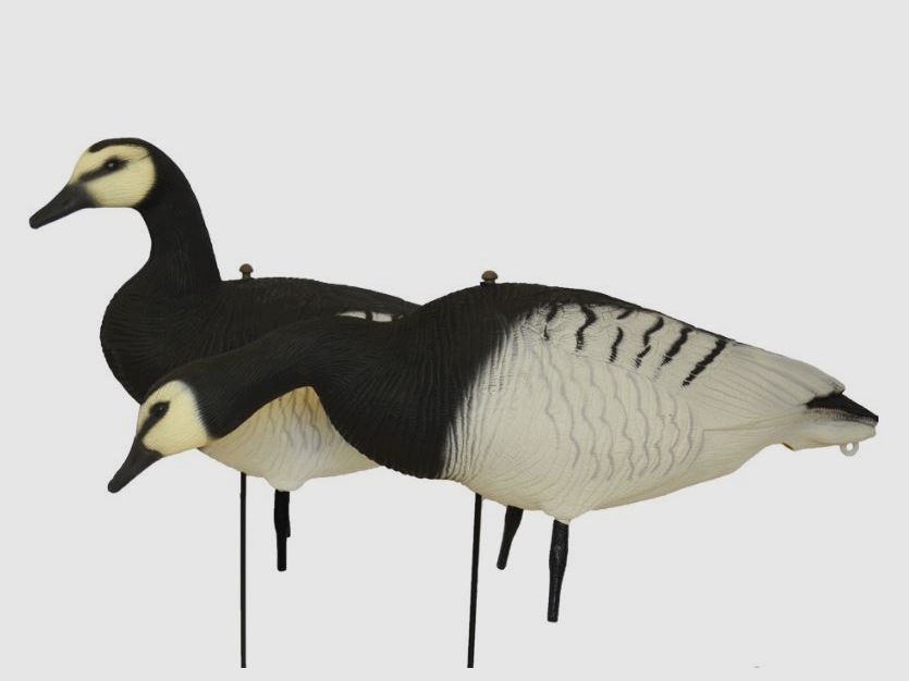 Prodecoys richiami di oca facciabianca, 12 pz., Full Body, immagine 3 di 5