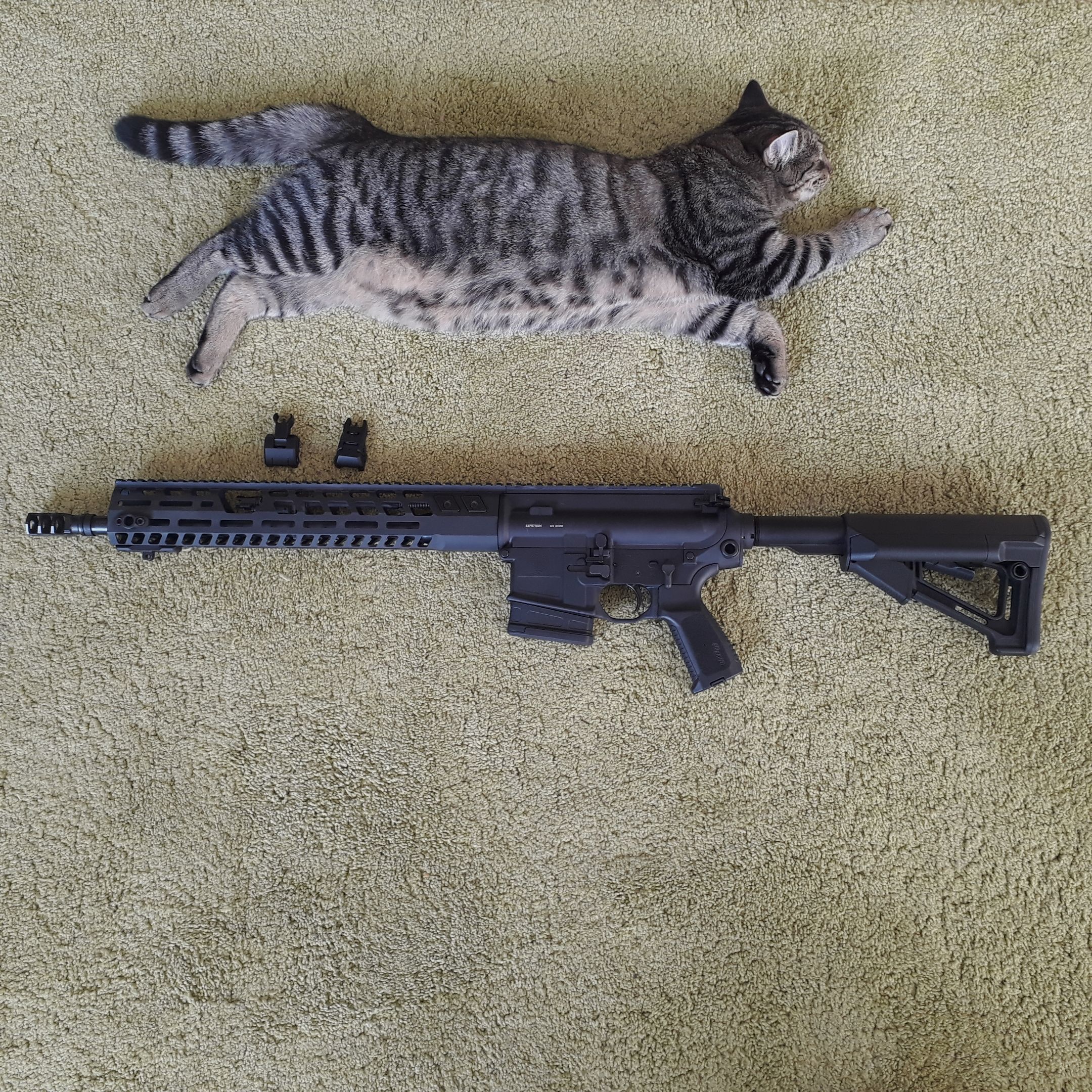 Sig Sauer 716 G2 Patrol with Geissele trigger and Magpul STR stock