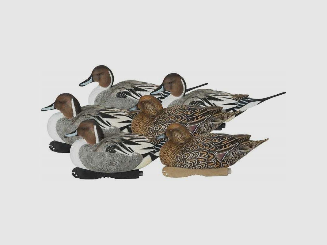 KIT 6 Formen Codone GHG Pro-Grade Gadwall Decoys