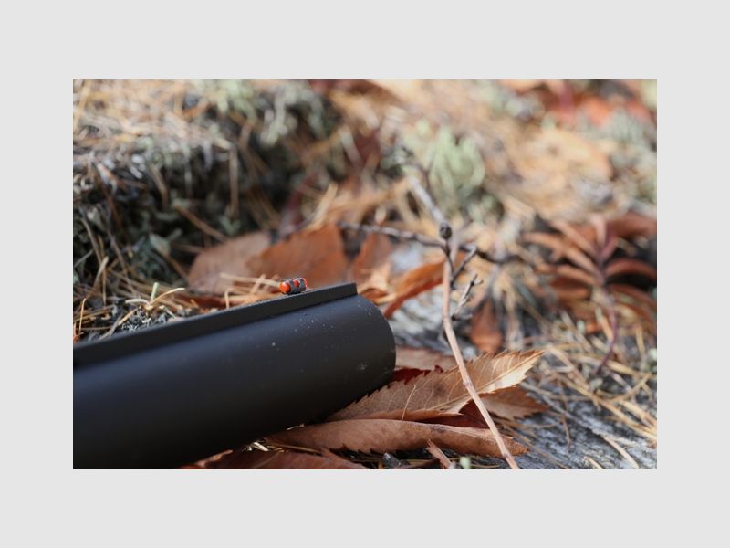 GUN – FRANCHI – AFFINITY WOOD, image 2 of 3